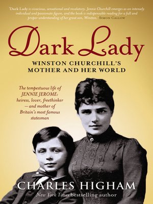 cover image of Dark Lady